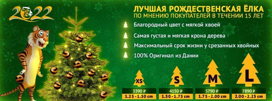 Как правильно выбрать елку?